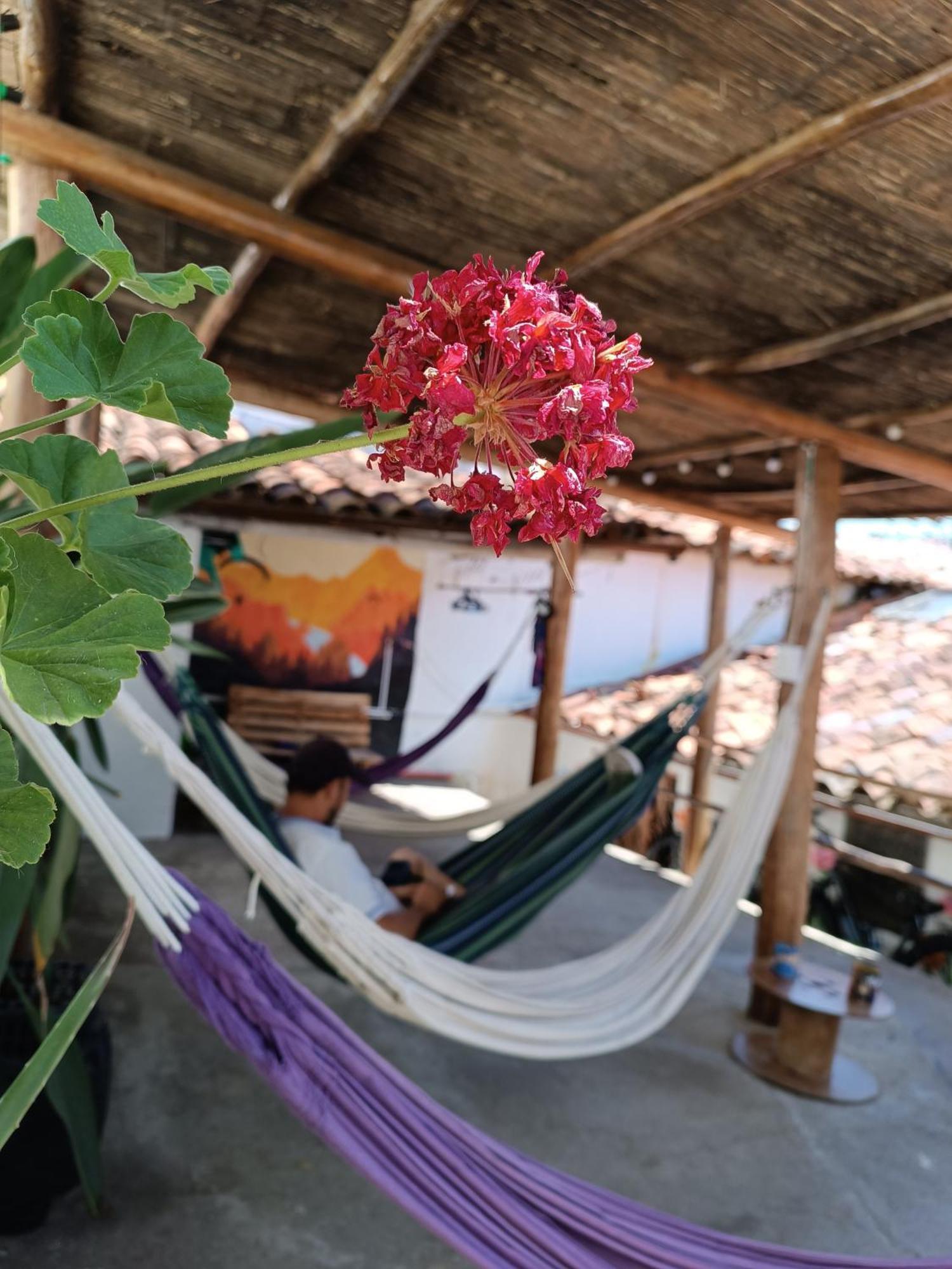 Adventure Hostel San Gil Luaran gambar